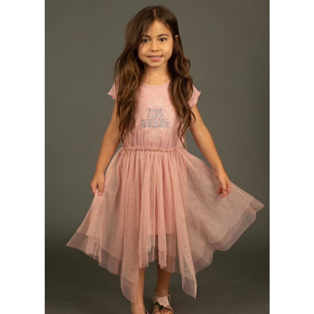 Joyfolie Mia Joy Feya Dress in Blush Girl’s Size 4